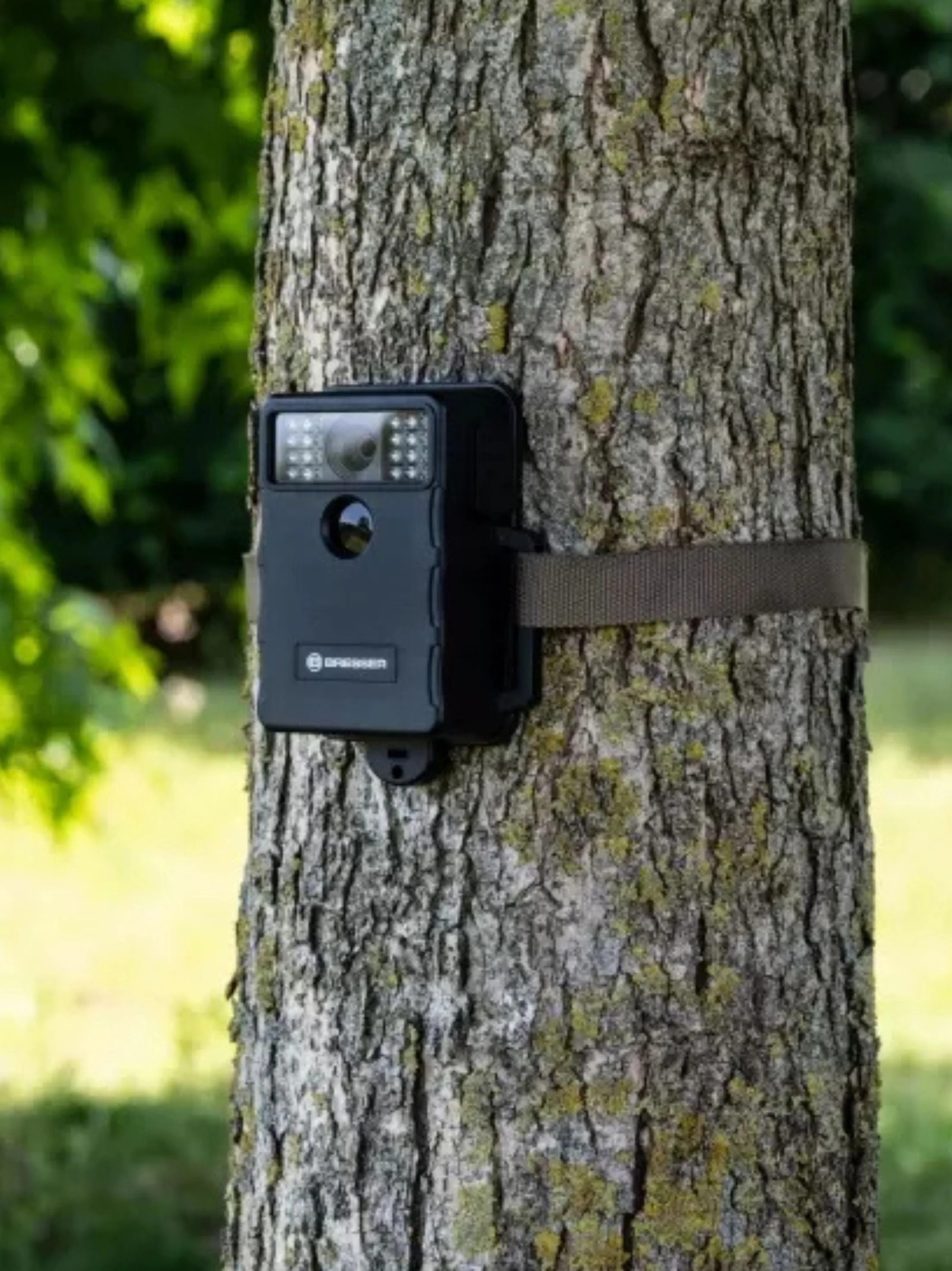 Wildlife Camera - Image 2